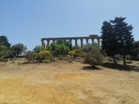 Agrigent: im Tal der Tempel