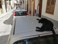 wir laufen zu unserem Bus