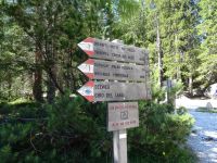 Weiter in Richtung Grünwaldalm