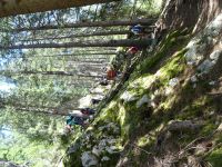 Über Stock und Stein