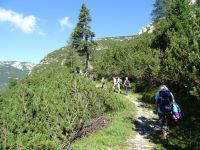 Wir folgen seinem Weg zu den Zinnen