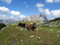 Hier oben gibt es auch wieder 