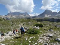 ...über Stock und Stein...