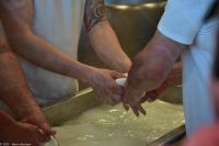 Kampanien - Vanulo Büffelfarm