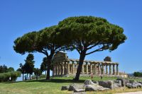 Antikes Paestum - Tempel der Athene