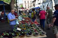 Sizilien - Markt in Catania