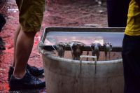 Sizilien - Markt in Catania