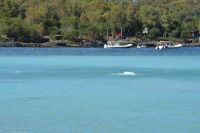 Äolische Inseln - Insel Vulcano - hier sieht man noch einmal die deutliche Wasserverfärbung und die heißen sprudelnden Quellen