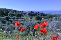 Fahrt durch die Chianti Berge (Toskana)