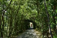 Rom - Vatikanische Gärten