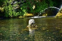 Rom - Vatikanische Gärten - Brunnenfigur