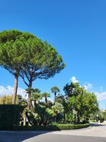 Wege durch die Gärten