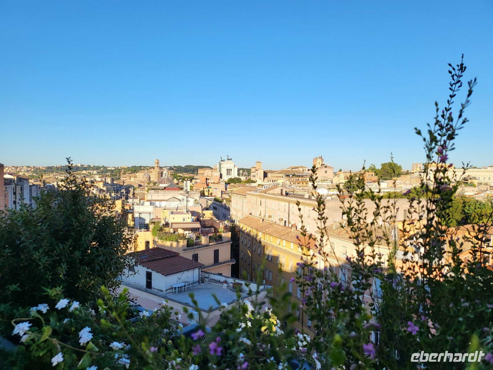 Schönen guten Morgen - Tagesstart auf der Dachterrasse des Hotels