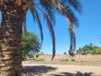 auf dem Palatin-Hügel, im Hintergrund die Kuppel vom Petersdom