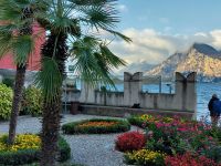 Garten Palazzo dei Capitani