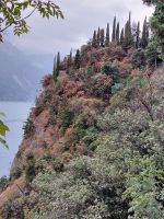 Ausblick von der Ponalestraße