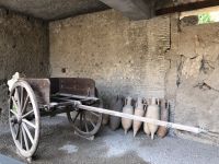 Amphoren und Alltagsgeräte Pompejis