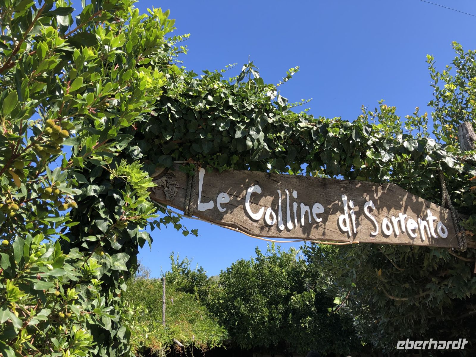 Mozzarella und Limonen