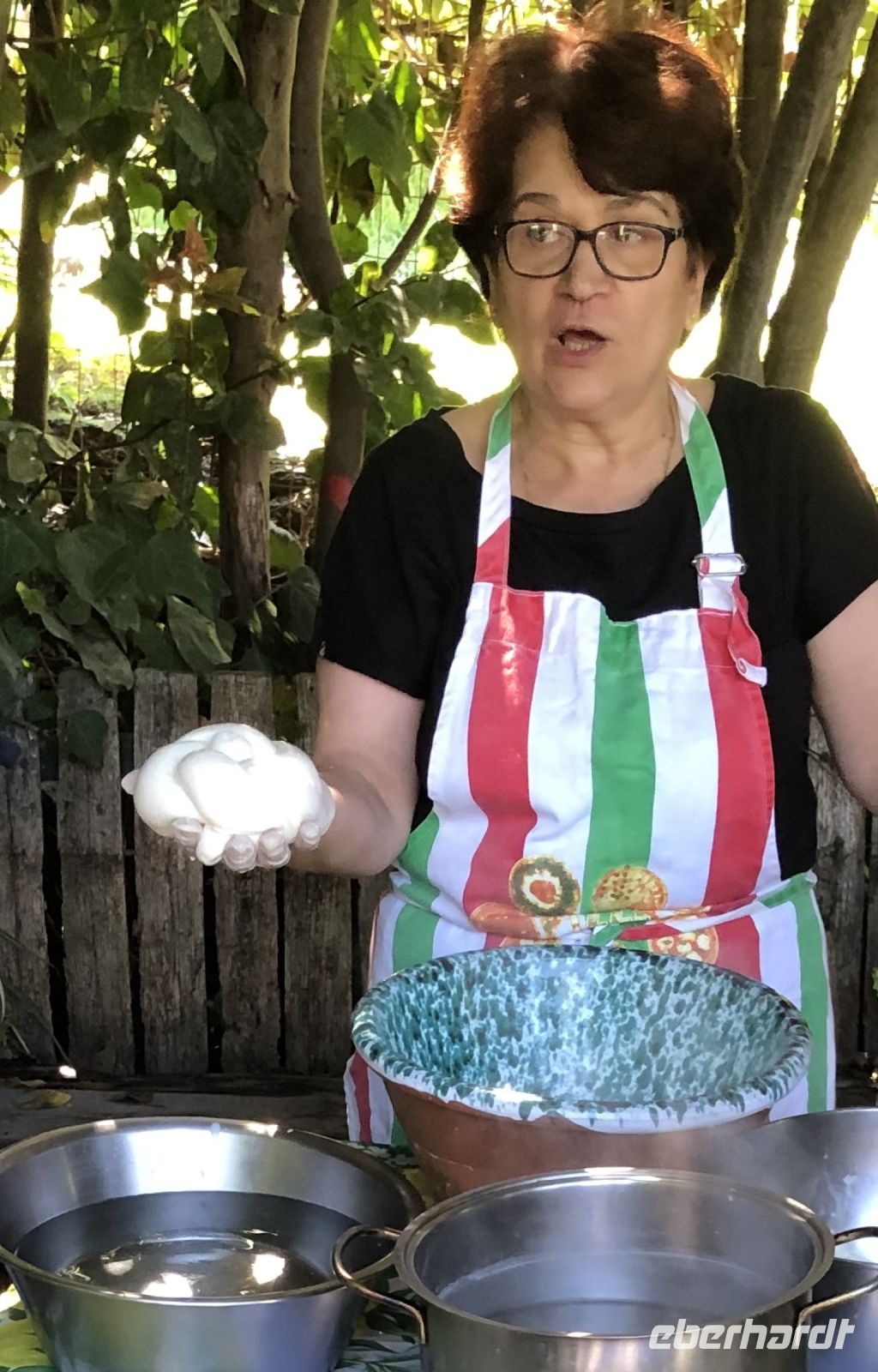 Rosa & frischer Mozzarella 