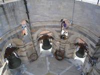 auf dem Schiefen Turm von Pisa