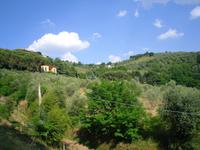 Auffahrt nach Montecatini-Alto