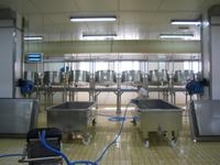 Besichtigung der Käserei