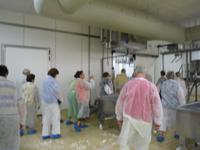 Besichtigung der Käserei