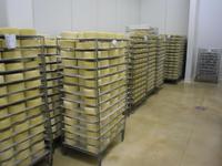 Besichtigung der Käserei