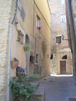 Volterra