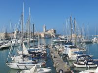 Apulien-Trani-Hafen und die Cathedrale.JPG