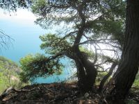 Apulien Gargano-die Kreationen der Natur.JPG