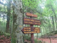 Apulien-Foresta Umbra - Die Wegweiser.JPG