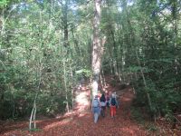 Apulien-Foresta Umbra - unsere Gruppe.JPG