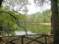 Apulien-Foresta Umbra-der Waldsee.JPG