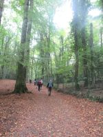 Apulien-Foresta Umbra-einfach Stille und Ruhe.JPG