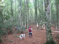 Apulien-Foresta Umbra-Unsere Reiseleiterin Kerstin und der Hund.JPG