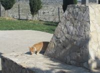 Ob da noch was von dem Picknick für mich bleibt.JPG