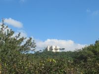 Castel der Monte - das thront er.JPG