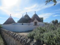 Valle d`Itria - Trulli in die Landschaft reingebaut..JPG