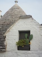 Alberobello - Fenster mit Ohren.jpg