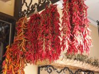 bunte Vielfalt, PA260129.JPG