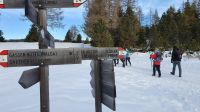 Wanderung auf der Villanderer Alm