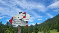 207 – Italien, Trentino, Madonna di Campiglio, Wanderung