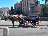 Kutsche in Rom unterwegs
