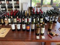 2. Reisetag – Weiterfahrt nach Montecatini Terme in der Toskana – Weinverkostung auf einem Bauernhof bei Empoli