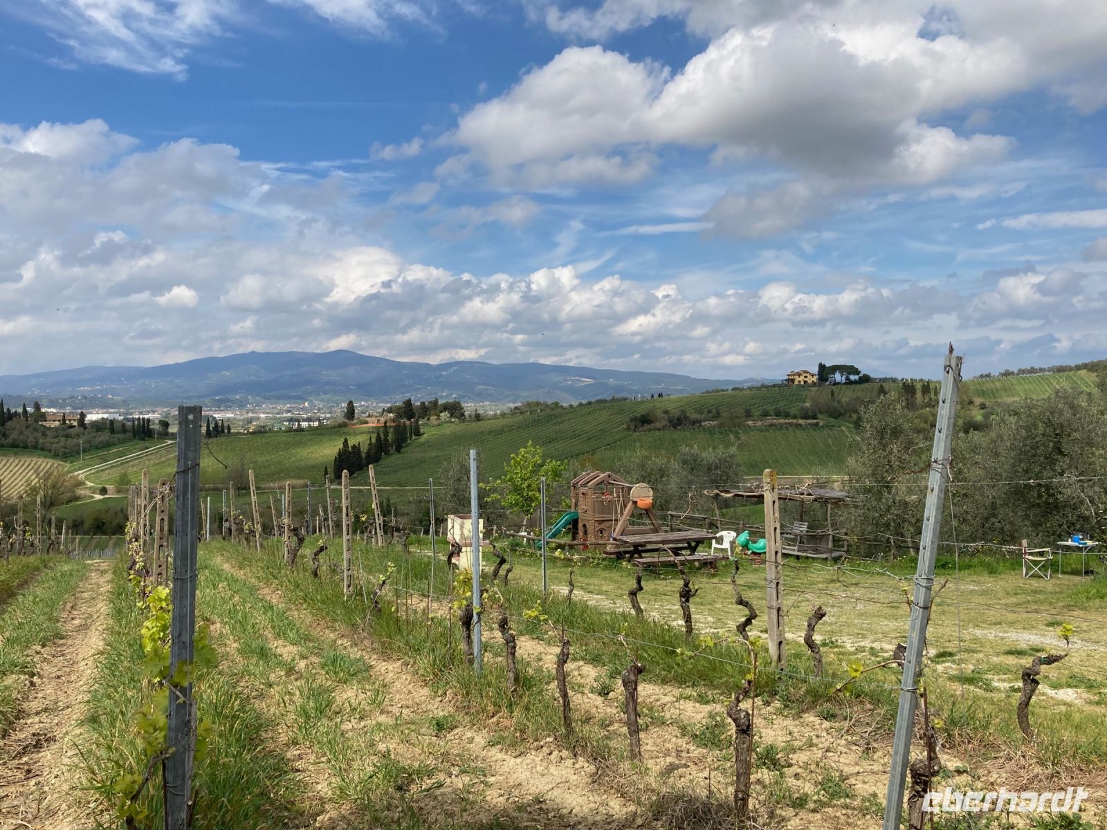 2. Reisetag – Weiterfahrt nach Montecatini Terme in der Toskana – Weinverkostung auf einem Bauernhof bei Empoli