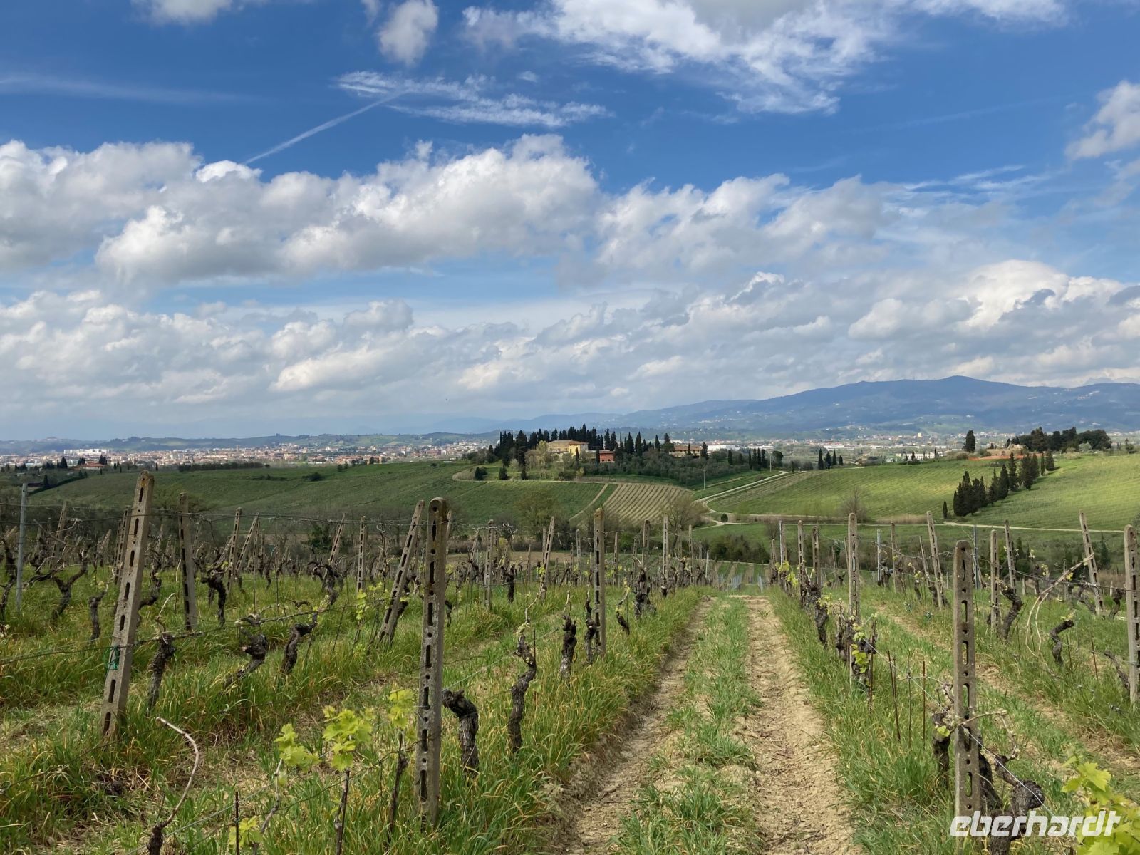 2. Reisetag – Weiterfahrt nach Montecatini Terme in der Toskana – Weinverkostung auf einem Bauernhof bei Empoli