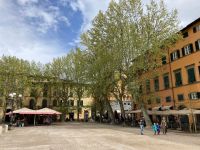 3. Reisetag – Stadtführung in Lucca – Piazza Napoleone (Piazza Grande)
