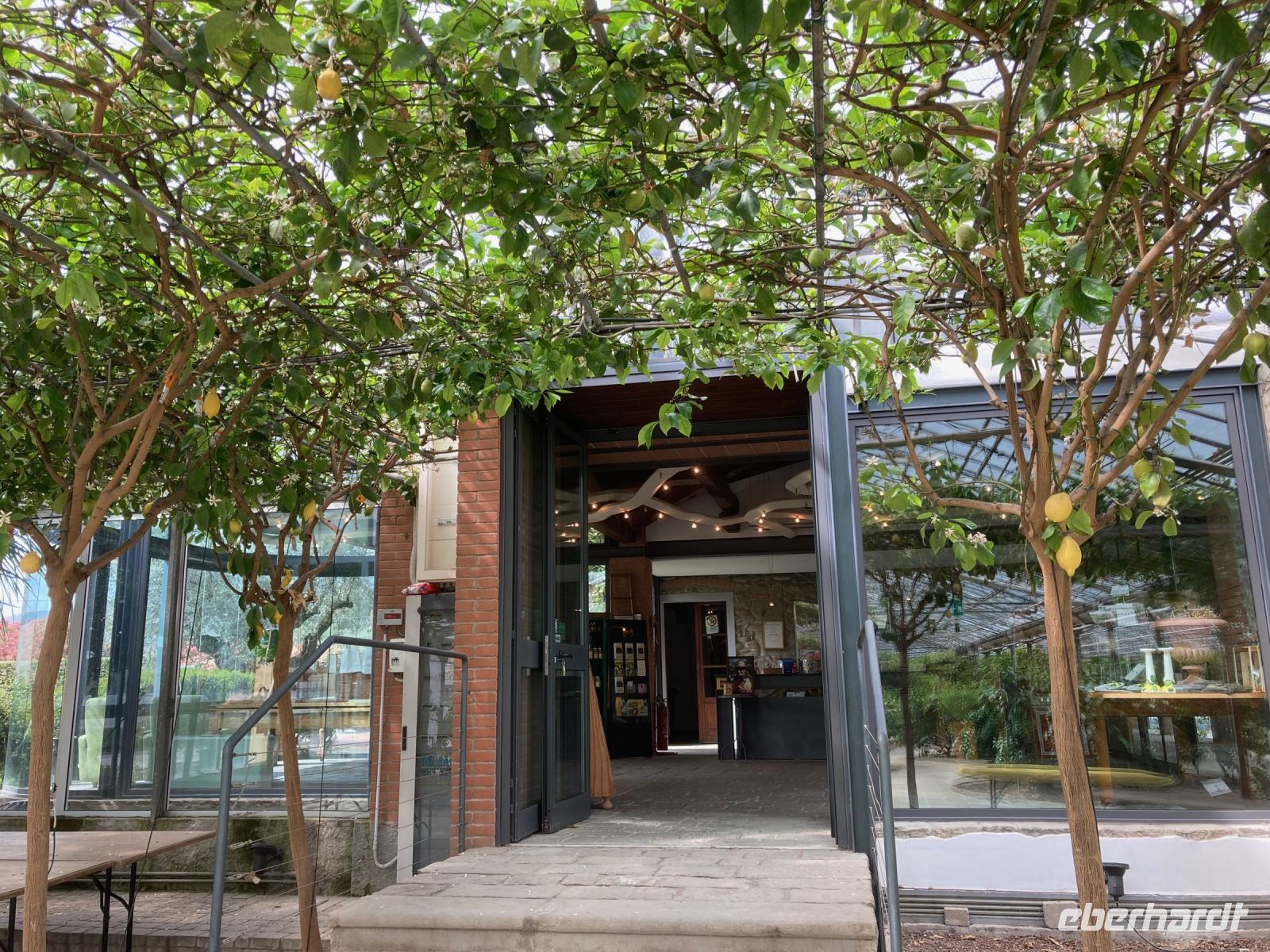 3. Reisetag – Führung durch den Zitronengarten „Oscar Tintori“