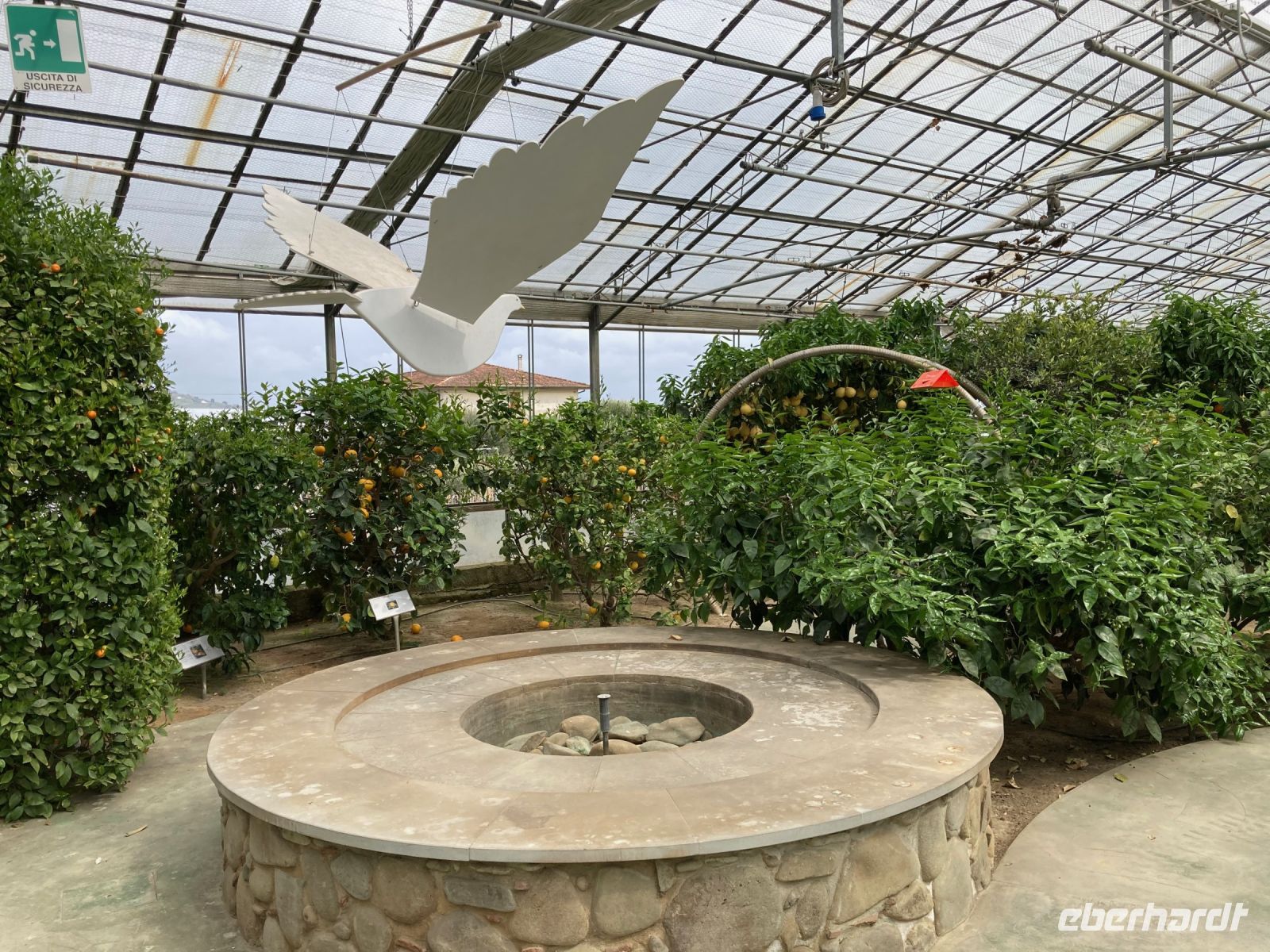 3. Reisetag – Führung durch den Zitronengarten „Oscar Tintori“